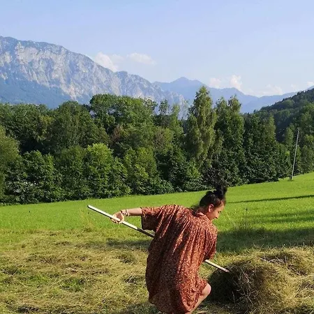 With 1 Bedroom Daire Aich (Upper Austria)