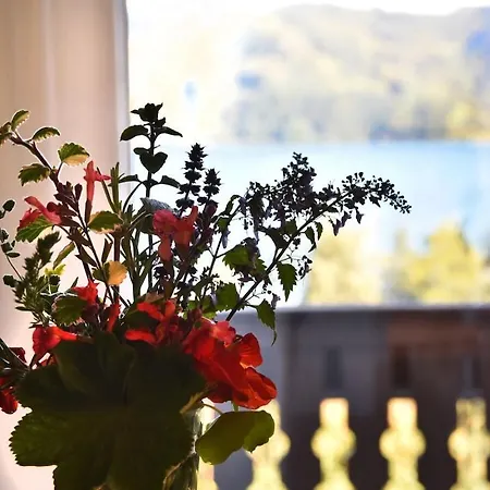With 1 Bedroom Apartament *