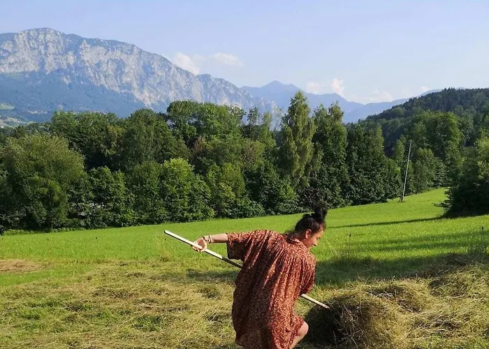 With 1 Bedroom Daire Aich (Upper Austria)